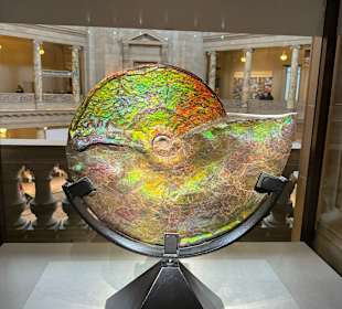 Kunstwerk der Natur.