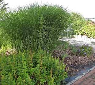 Kurpark