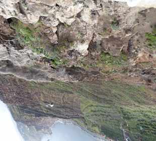 Fajã dos Padres, Gondel der neuen Seilbahn