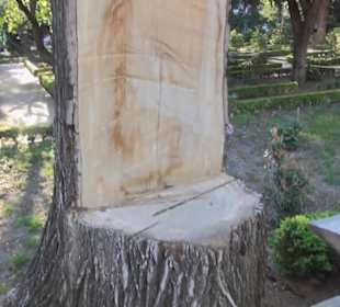 Real Jardín Botánico de Madrid