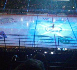 Eishockey Maskottchen Sharky der Kölner Haie