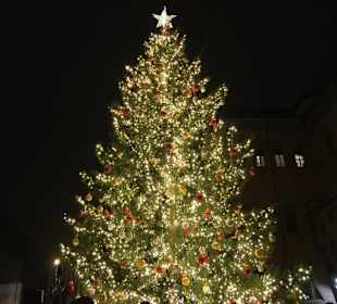 Weihnachtsbaum Piazza Nettuno