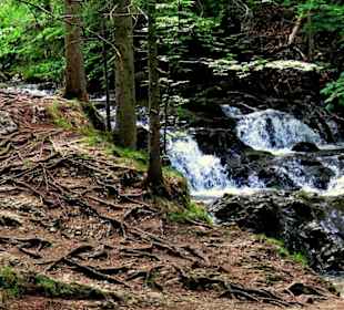 Auf dem Weg zu den oberen Wasserfällen