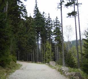 Berg Schneekoppe/Śnieżka