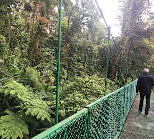 Nebelwald-Reservat Monteverde