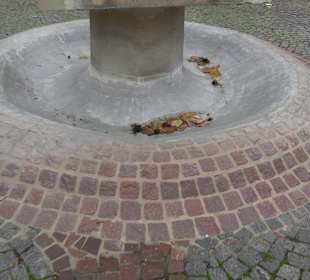 Dorfbrunnen Elchingen
