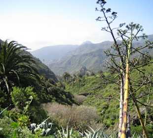 Das Tal von Benchijigua