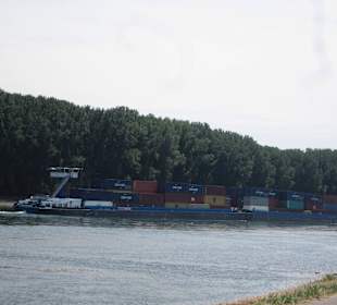 Am Rhein in Germersheim