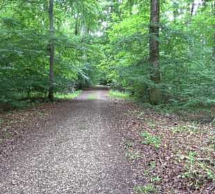 Hochgeträumt Premiumwanderung