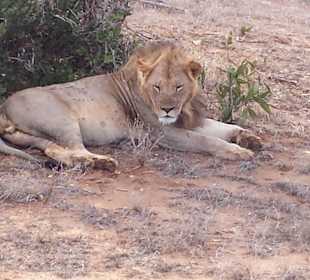 Vom Jeep aus fotografiert