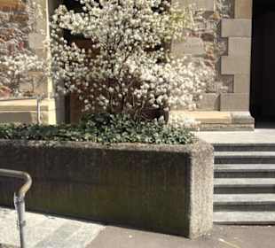 Kornhaus - Städtische Galerie