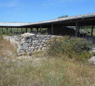 Frühchristliche Basilika Solina