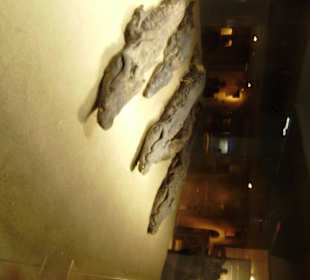 Sobek Tempel in Kom Ombo (Krokodil)