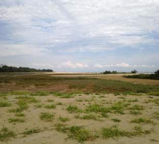 Das Naturreservat von Bibione