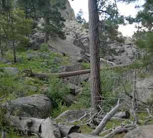 Devils Tower, Wyoming