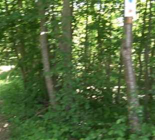 Wanderweg Sieben-Täler-Runde 