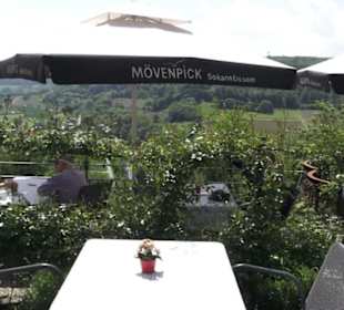 Schlosscafé im Rosengarten