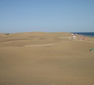Dünen am Strand Maspalomas