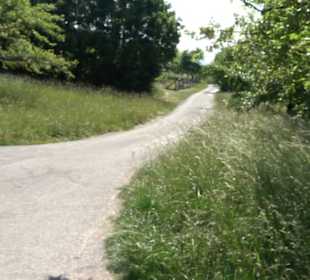 Naturschutzgebiet Hirschauer Berg
