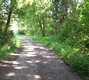 Eduard Lucas Musterobstgarten Mähringen