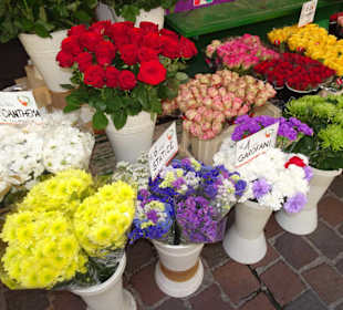 Rundgang über den Obstmarkt Bozen