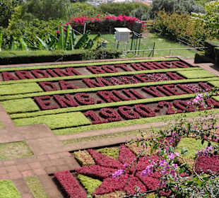 Jardim Botanico de Madeira główny skwer