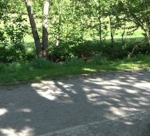 Kurpark Bad Niedernau