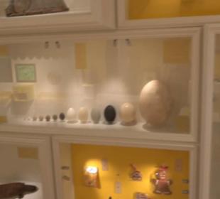 Museum für Naturkunde