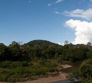 Krajobraz Taman Negara