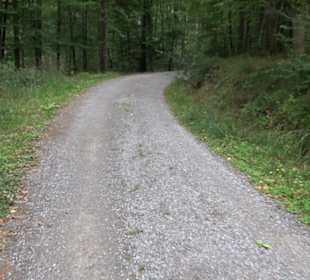 Altwege Rundwanderung Bebenhausen