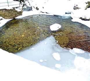 Risslochwasserfälle  2 1/2 Std. wandern