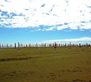 Ende September 2010 Inspirationen