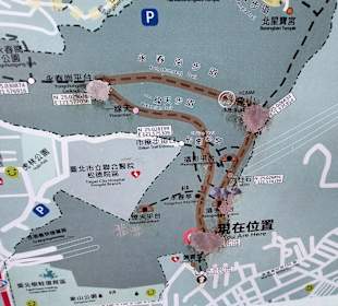 Elephant Mountain Xiangshan Hiking Trail