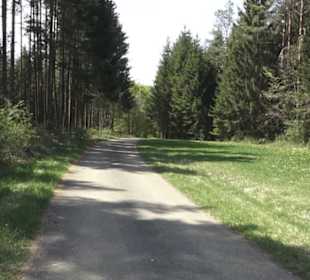 Waldlehrpfad an der Lauter