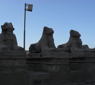 Вход в музей под открытым небом