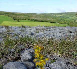 Burren Gebiet