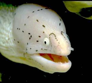 Komm mir nicht so nahe