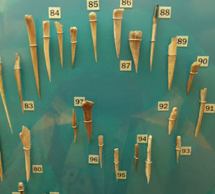 Weitere Knochenfunde