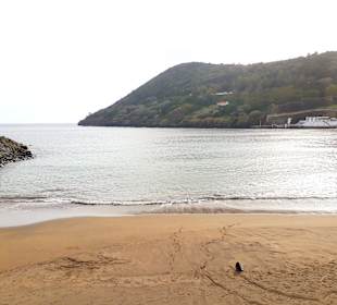 Hafen Angra do Heroismo