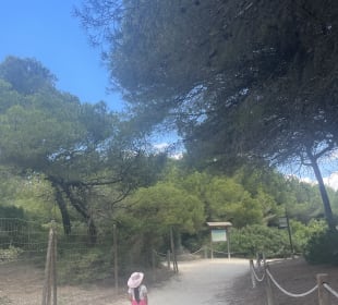 Strand Playa/Platja de Muro