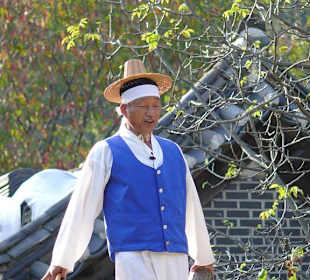 Artist - über 65 Jahre alt