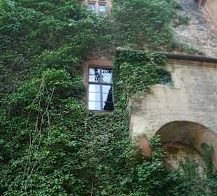 Außenansicht und Umgebung