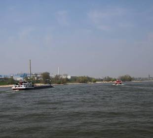 Auf dem Rhein