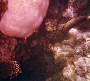 Sieht eigenartig aus