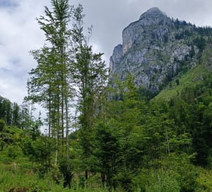 Blick auf den Sparber