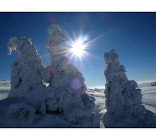 Schneeschuhwanderung auf den Großen Arber