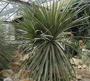 Anlage Planten un Blomen