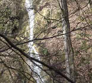 Gütersteiner Wasserfall