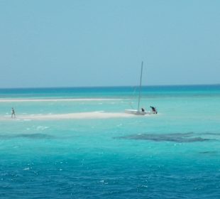 Schorcheltripp auf die Giftun Insel