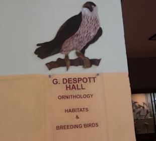 Naturhistorisches Museum